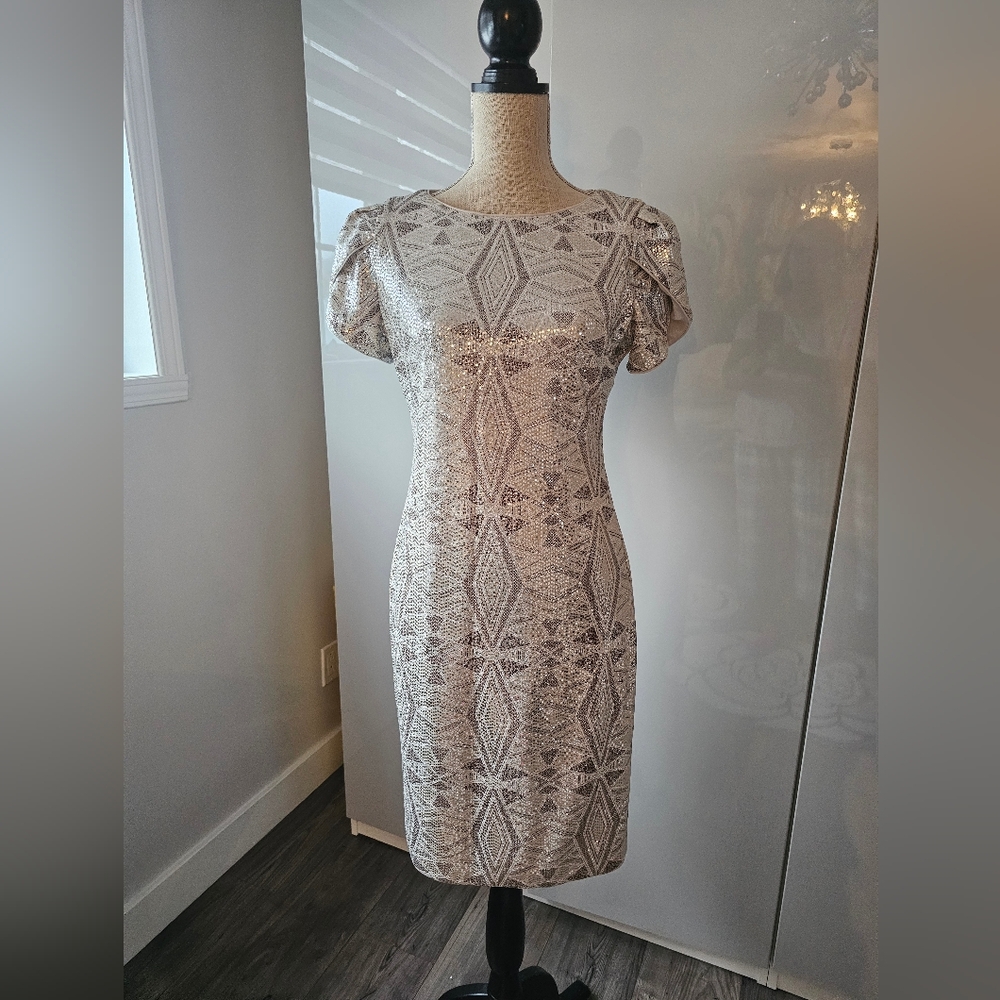 Frank Lyman Design Silver Patterned Midi Dress
